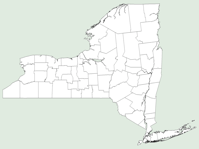 File:No counties NY-dist-map.png