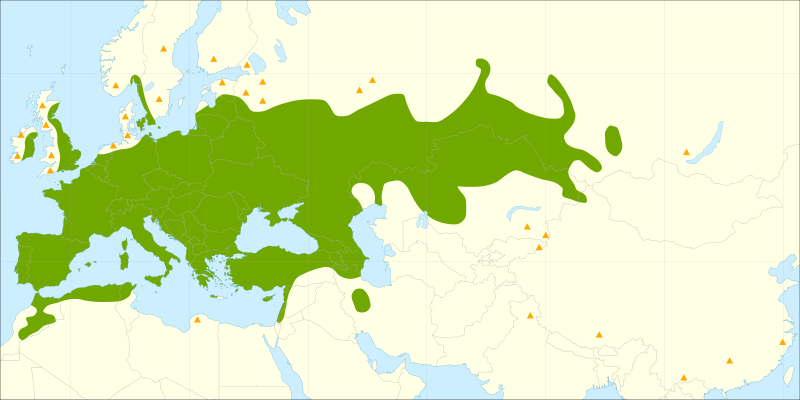 File:Salix alba range.svg