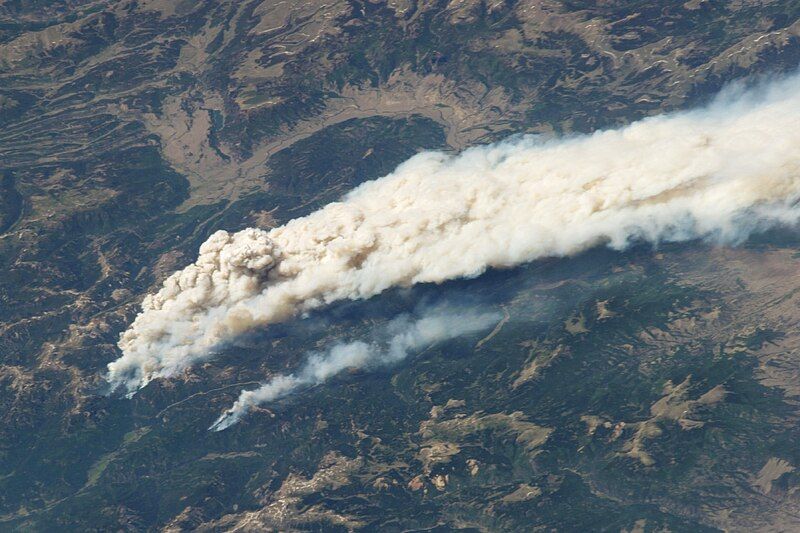 File:WestForkFireComplexCloseup61913.jpg