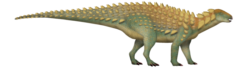 File:Yuxisaurus UDL.png