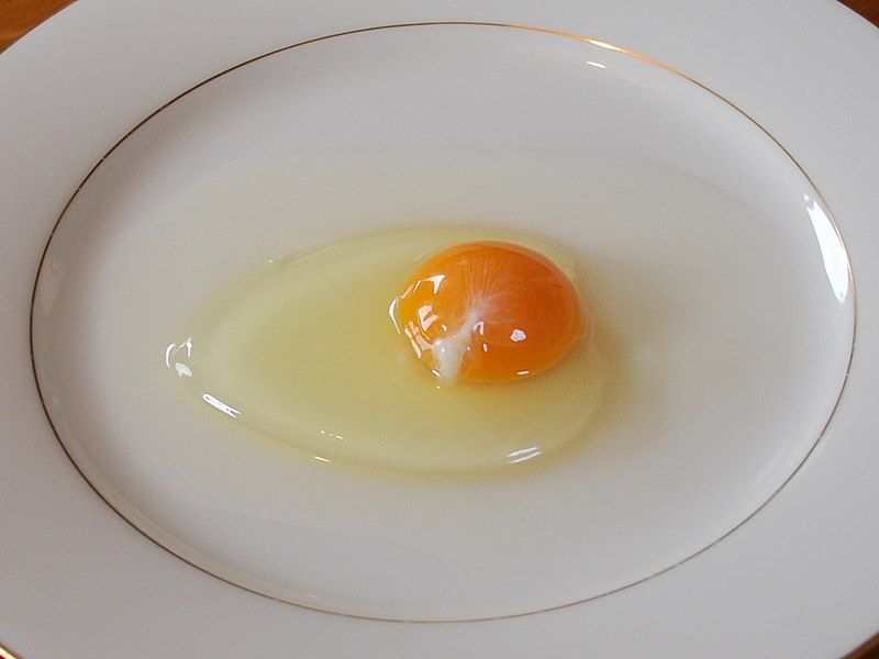 File:Chicken egg01 monovular.jpg