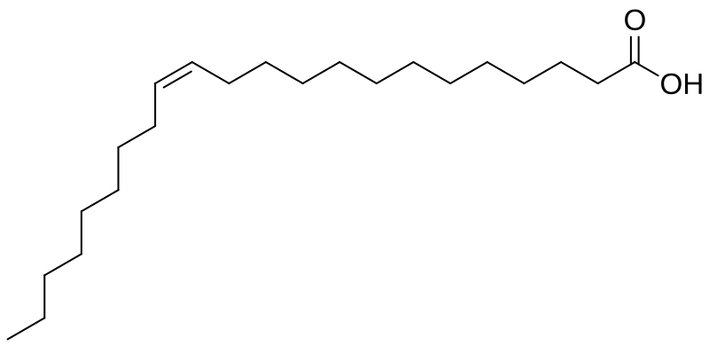 File:Erucic acid v2.svg