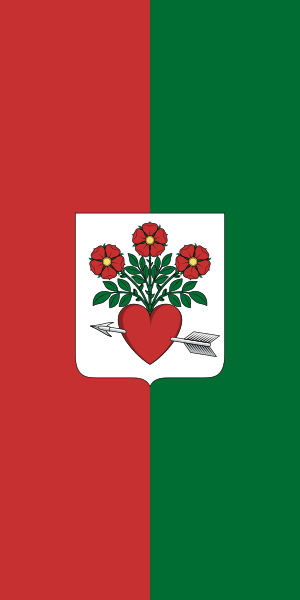 File:Flag of Ágfalva.svg