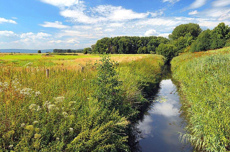 File:Haller am Haarberg.jpg