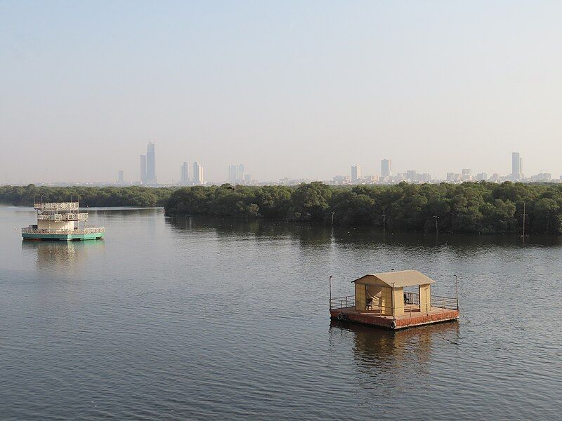 File:Karachi Mangroves.jpg