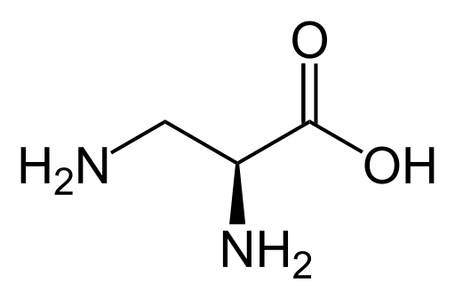 File:L-2,3-Diaminopropanoic acid.svg