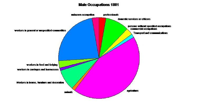 File:Male occ 1881.jpg