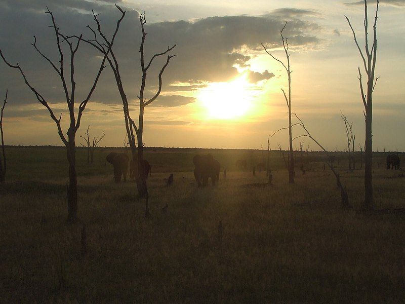 File:Near Kariba.jpg