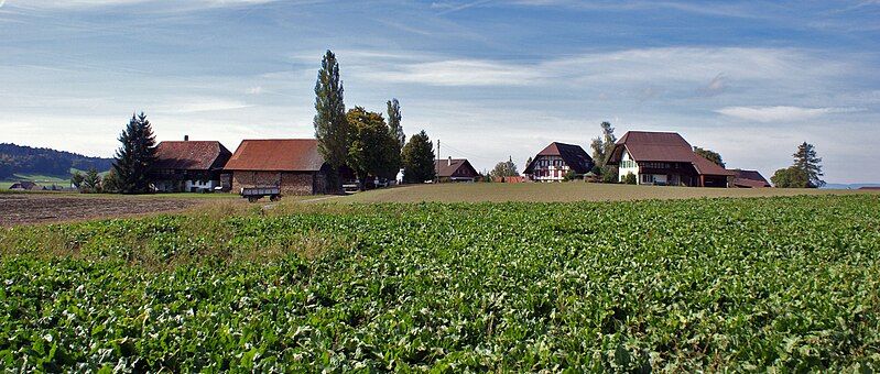 File:Niederbottigen.jpg