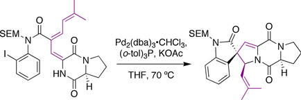 Overman spirotryprostatin B synthesis