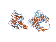 1zxn: Human DNA topoisomerase IIa ATPase/ADP