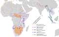 Rhinocerotidae distribution