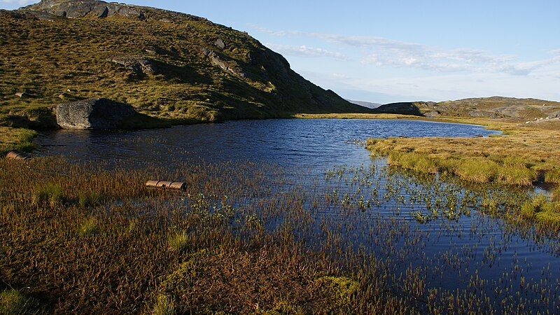 File:Tarajornitsut-wetland.jpg