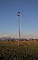 Telephone line on wooden pole