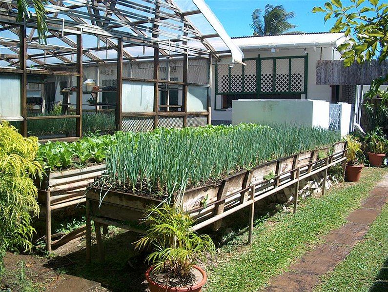 File:Tobago herb garden.jpg