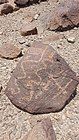 Scattered rock petroglyphs dot the Wadi Saham, Fujairah