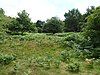 Market Weston Fen