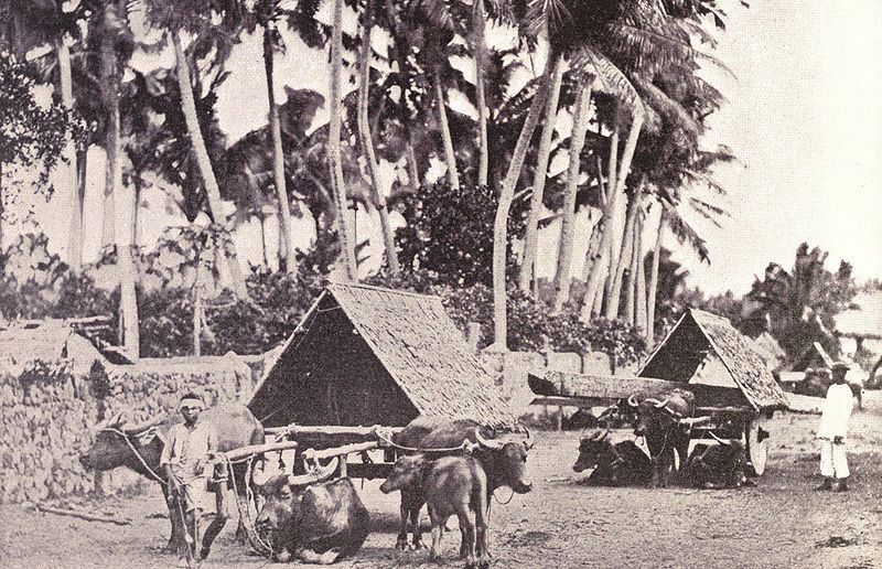 File:Albay wagons, 1899.jpg