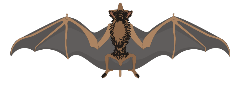 File:Bat clipart.svg