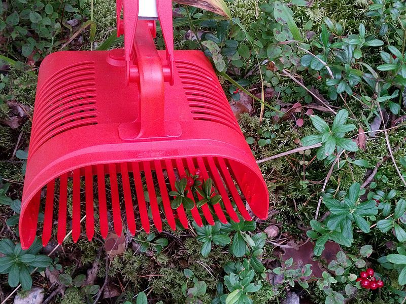 File:Berry-picking rake.jpg