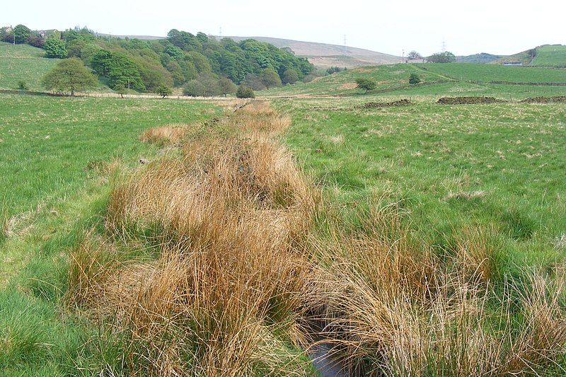 File:Brearley Brook.JPG