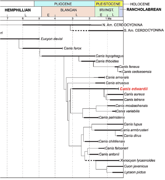 File:Canis edwardii timeline.png