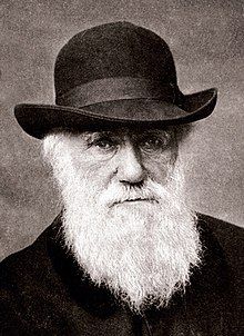 Monochrome photo of Charles Darwin, he appears to be an older middle aged man with a neutral expression, light skin, wrinkles under his deep set but fairly wide open eyes, and a chest length white beard extending up to his temples. He is wearing a hat with a rounded top, a medium width brim and a cloth band, his shoulders which are the only part of his body beyond head in frame seem are covered by a dark, apparently black, top of unclear cut. The background behind him is non-descript, possibly a plaster wall