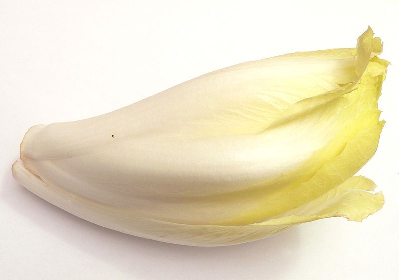 File:Endive p1160063.jpg