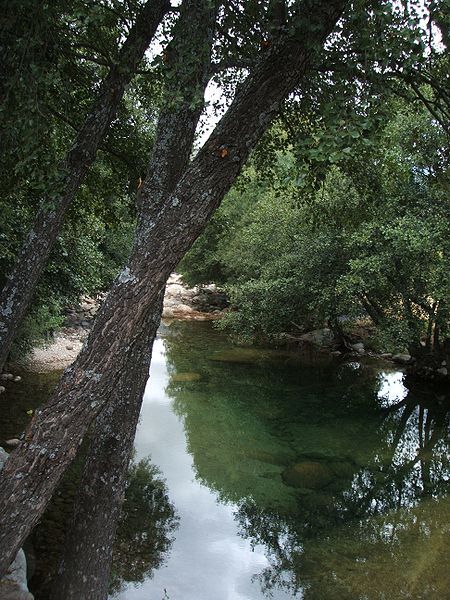 File:GARGANTA DE BOHOYO.JPG