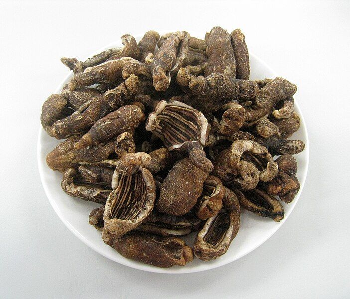 File:Keripik teripang 1.JPG