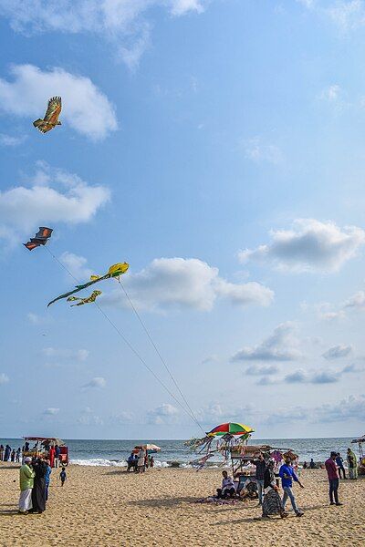 File:Kozhikode beach kites.jpg