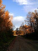 Beautiful Autumn Colors