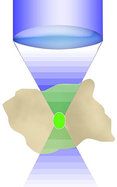 File:MultiPhotonExcitation-Fig5-doi10.1186slash1475-925X-5-36.JPEG