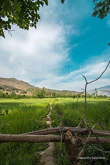 Munjai Crops