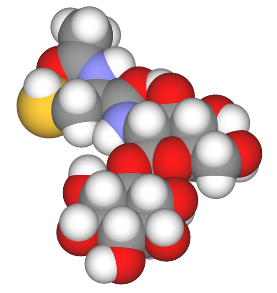 File:Mycothiol spacefill.png