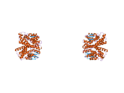 2c3t: HUMAN GLUTATHIONE-S-TRANSFERASE T1-1, W234R MUTANT, APO FORM