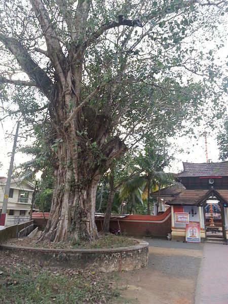 File:Puzhavathu Kottaram temples.jpg