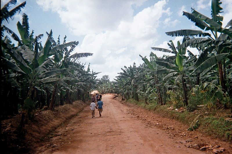 File:Road to Omachanda.jpg