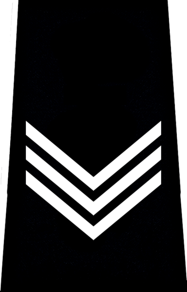 File:SJAA SGT.png