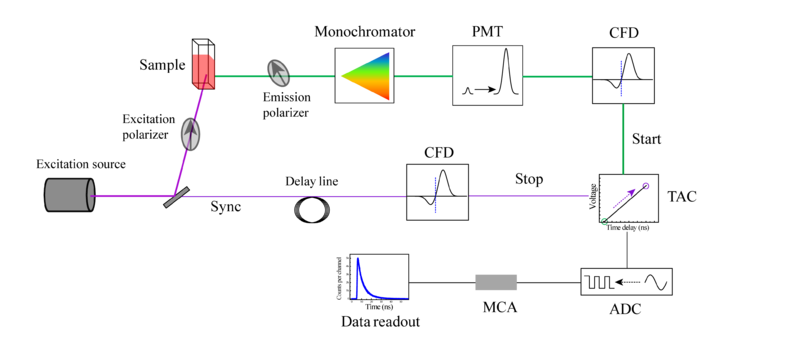 File:TCSPC schematic.png