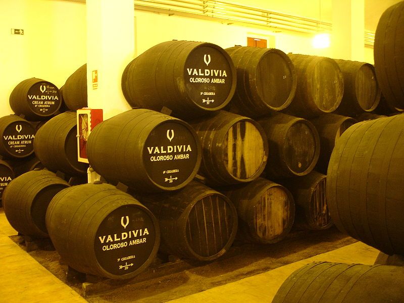 File:ValdiviaJerez55.jpg