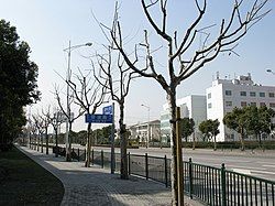 Zhangjiang Hi-Tech Park