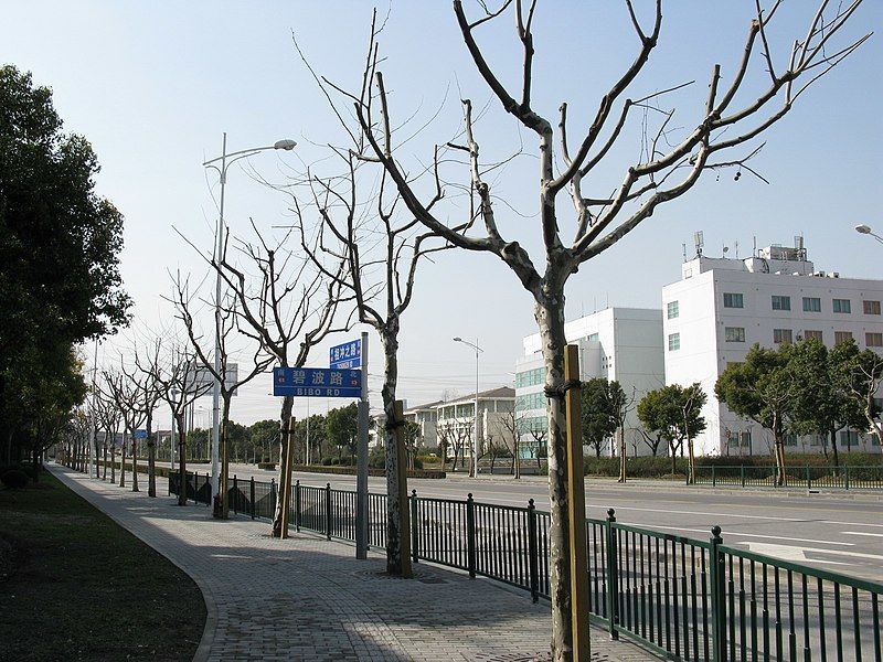 File:Zhangjiang Hi-Tech Park.jpg