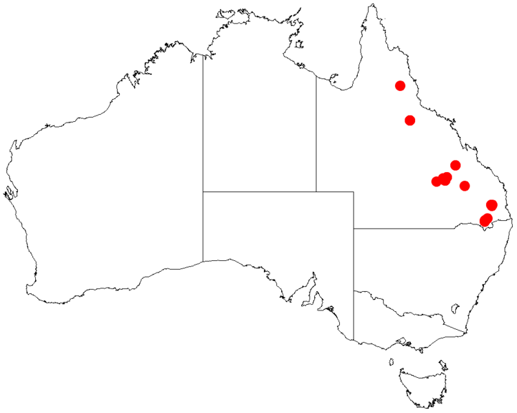 File:Acacia resinicostataDistMap755.png