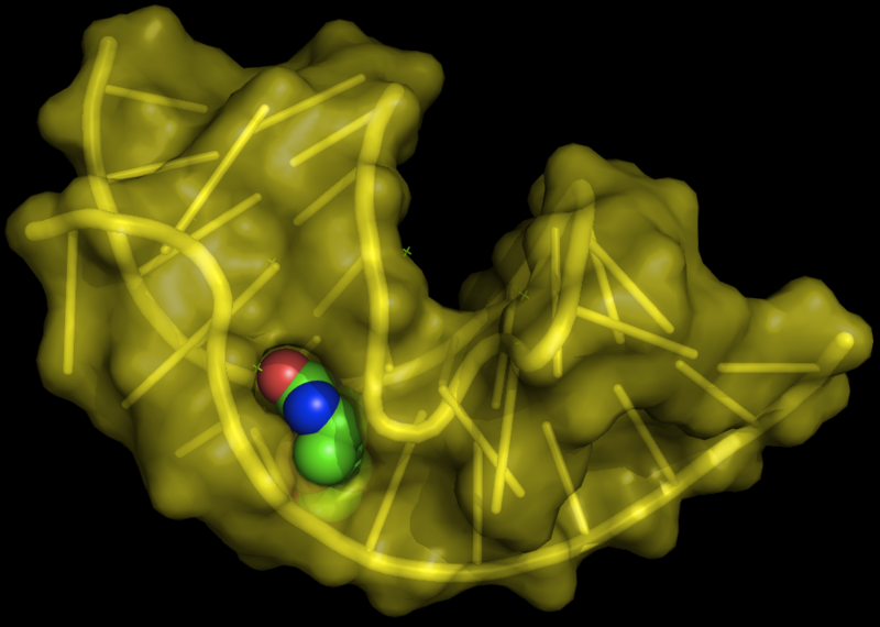 File:Aptamer biotin.png