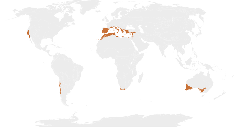 File:Biome map 12.svg