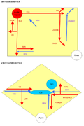 Cardiac vessel schematic