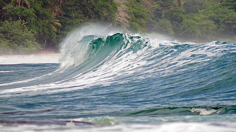 File:Caribbean wave.jpg