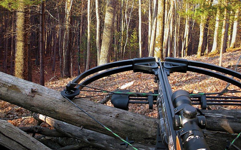 File:Crossbow Hunting.jpg