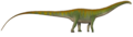 Diplodocus